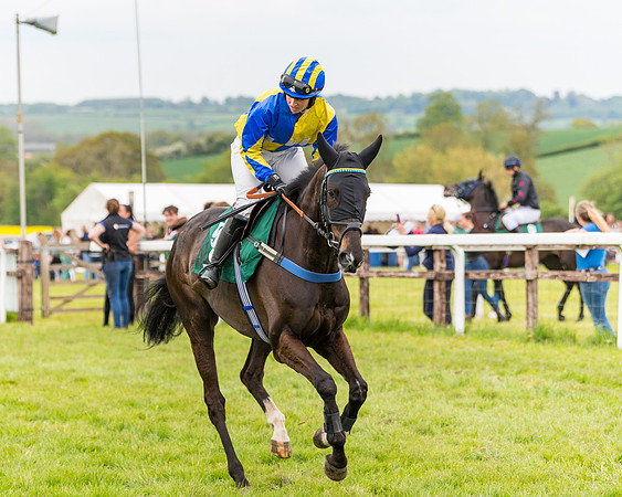 Race 7 - Veteran Horse conditions (52 of 244)