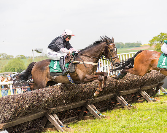 Race 2 - Owner-Trainer Conditions  (114 of 208)
