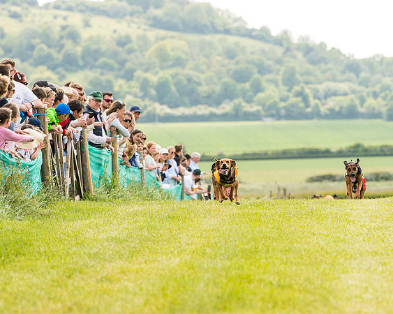 Draghounds Race (69 of 212)
