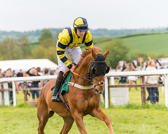 Race 7 - Veteran Horse conditions (82 of 244)
