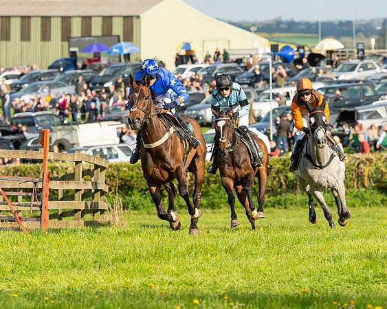 Race 7 - Maiden  (60 of 113)