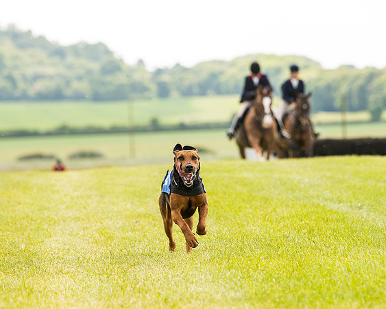 Draghounds Race (159 of 212)