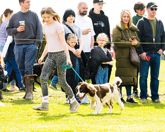 Dog show etc (70 of 157)