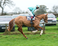 Race 5 - Open Maiden (12 of 65).jpg