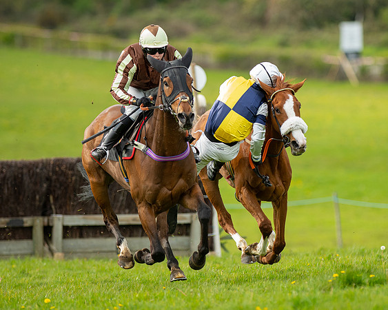 Race 5 - Open Maiden  (50 of 89)
