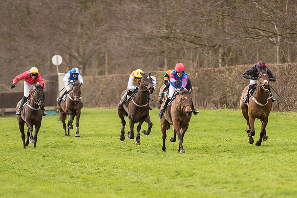 Race 2 - Young Horse Maiden (77 of 110).jpg