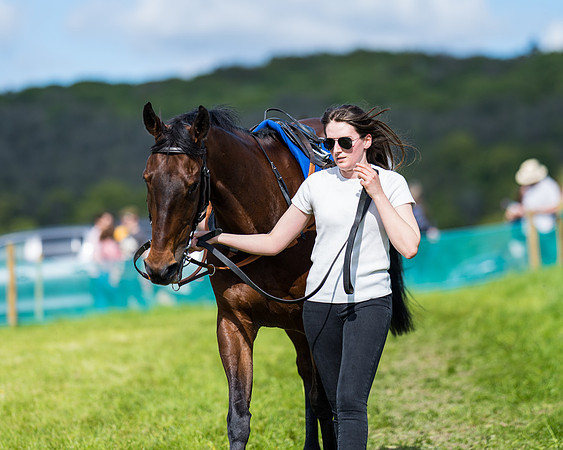 Race 5 - 2m5f Maiden (29 of 144)