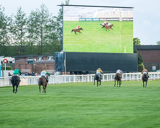 Race 5 - Mares Open  (181 of 329)