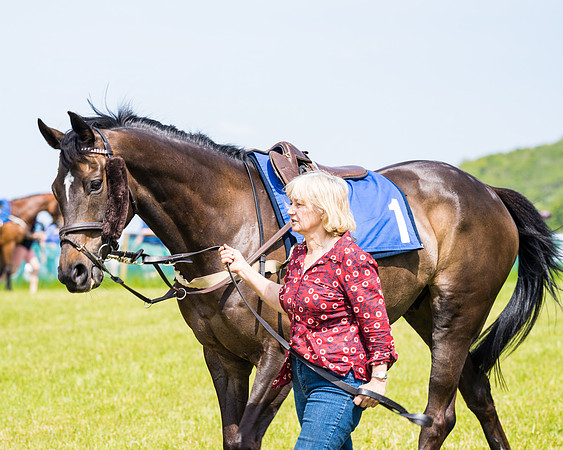 Race 1 - The Little Red owner Trainer conditions (82 of 345)