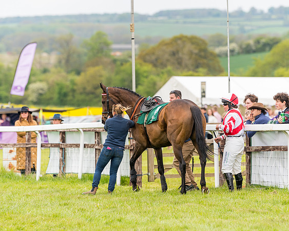 Race 7 - Veteran Horse conditions (39 of 244)
