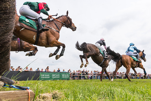 Race 2 - Owner-Trainer Conditions  (94 of 208)