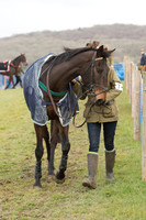 Race 2 - Open Maiden (1 of 161).jpg