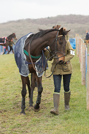Race 2 - Open Maiden (1 of 161).jpg