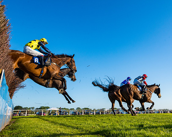 Race 5 - Whitw Swan Handicap (16 of 67)