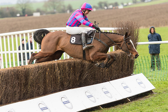 Race 1 - Young Horse Maiden (48 of 50).jpg
