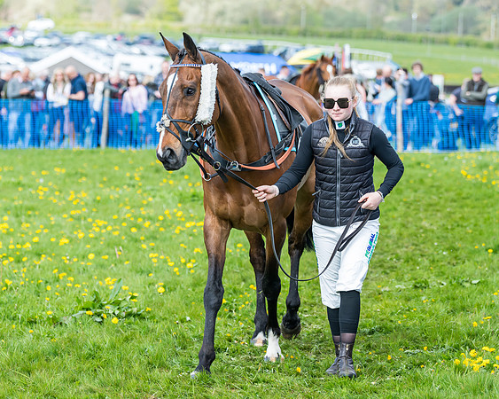 Race 2 - Veteran Horse  (3 of 82)