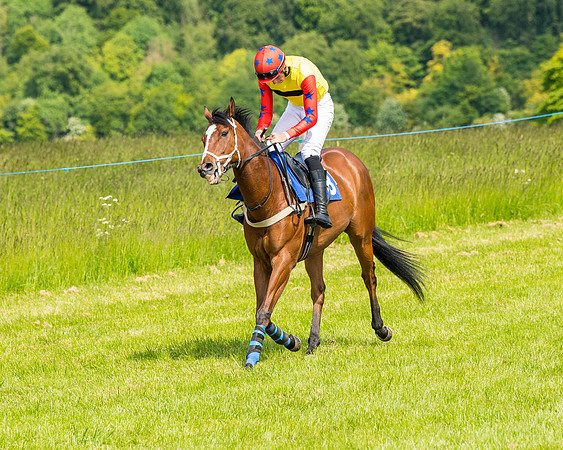 Race 2 - PPORA Novice Riders (168 of 444)