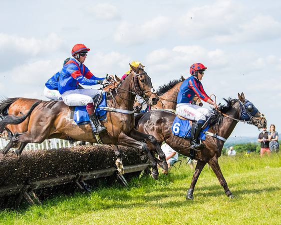 Race 2 - PPORA Novice Riders (217 of 444)