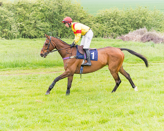 Race 6 - Maiden (9 of 129)