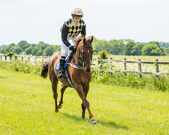 Race 2 - PPORA Novice Riders (118 of 444)