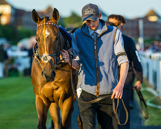 Race 7 - ITM NH Flat Race (27 of 197)