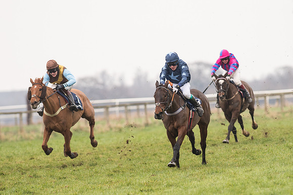 Race 5 - The Restricted Race (67 of 86).jpg