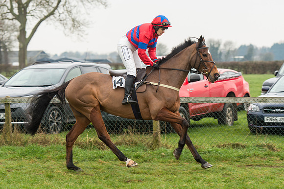 Race 4 - Ladies Open Race (21 of 96).jpg