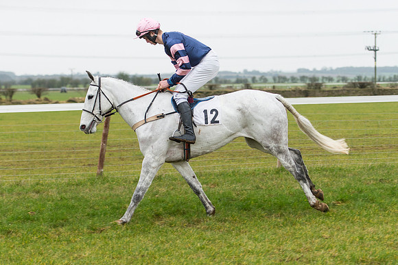 Race 6 - Open Maiden Race Div 2  (25 of 118).jpg