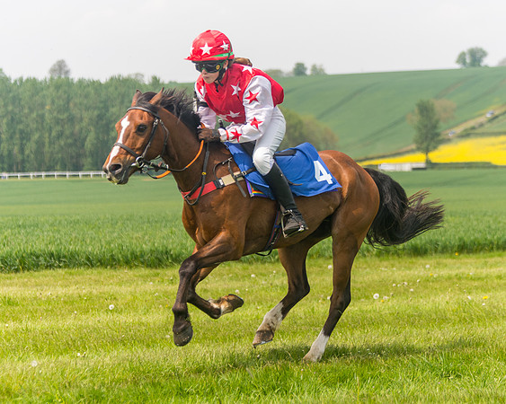 Pony Race 1 - 138cm (58 of 74)