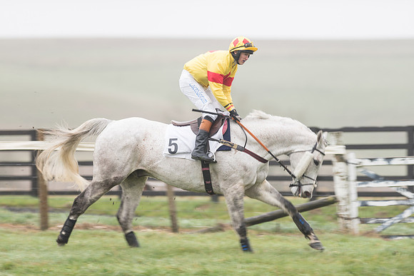 Race 5 - The Intermediate (4 of 59).jpg