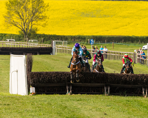 Race 5 - Restricted  (111 of 164)