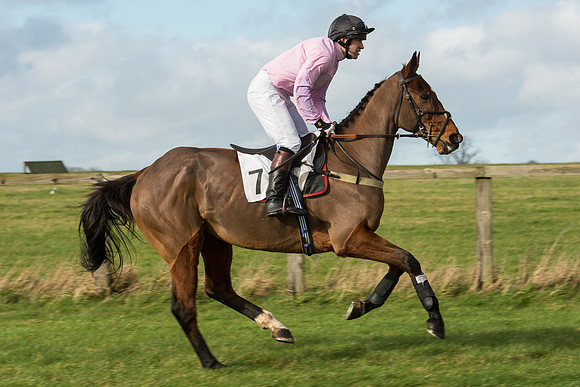 Race 3 - PPORA Members Novice Riders (29 of 84).jpg