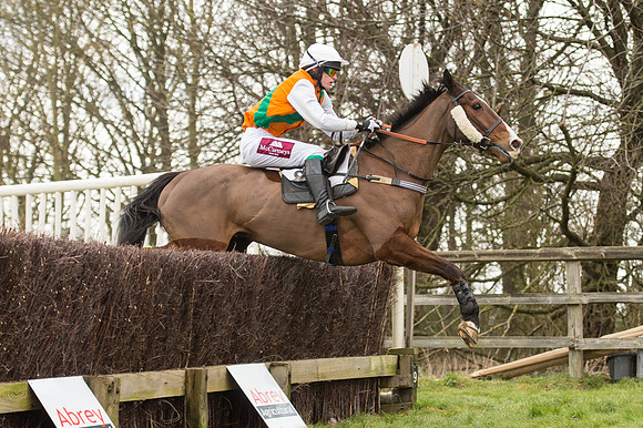 Race 2 - PPORA Novice riders  (164 of 186).jpg