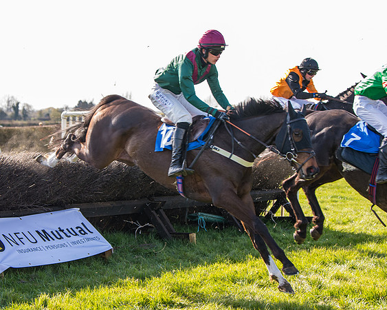 Race 5 - The Waverton Investment Management Ltd Restricted Race farmers and subscribers Race  (91 of 161)