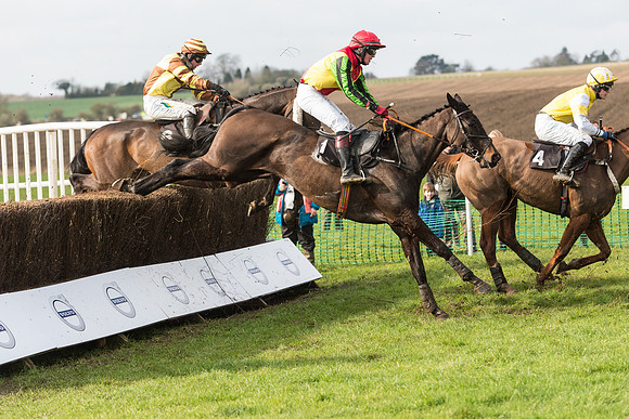 Race 2 - Restricted Race  (36 of 60).jpg