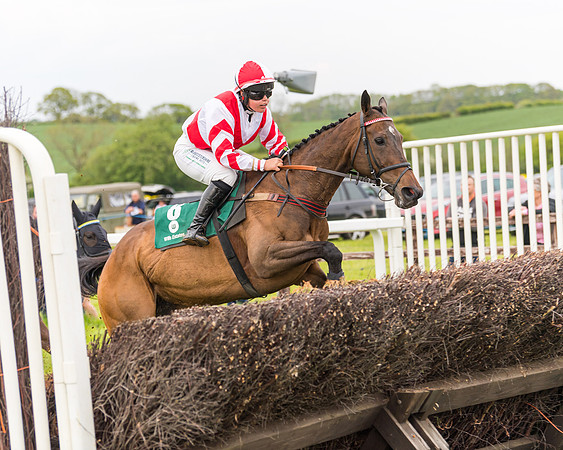 Race 7 - Veteran Horse conditions (105 of 244)