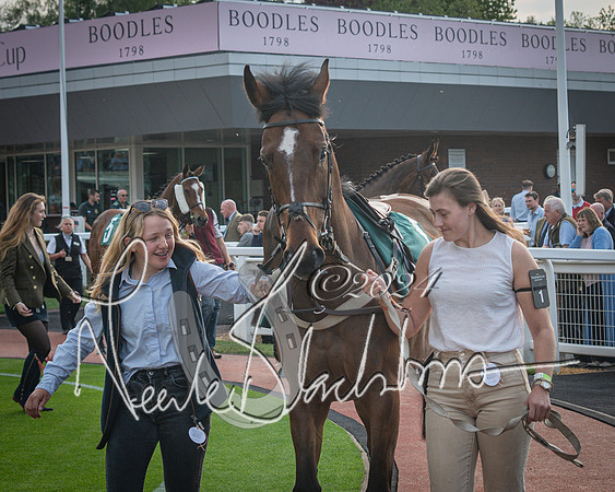 Race 5 - Mares Open Hunter Steeplechase 3m2f 70y (10 of 269)