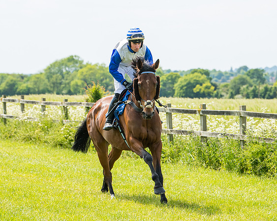 Race 2 - PPORA Novice Riders (147 of 444)