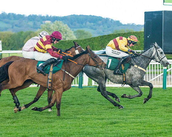 Race 5 - Mares Open  (144 of 329)