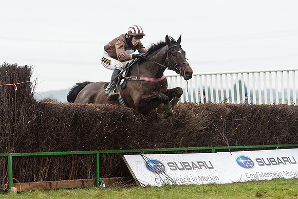 Race 6 - Open Maiden Race Div 1  (76 of 90).jpg
