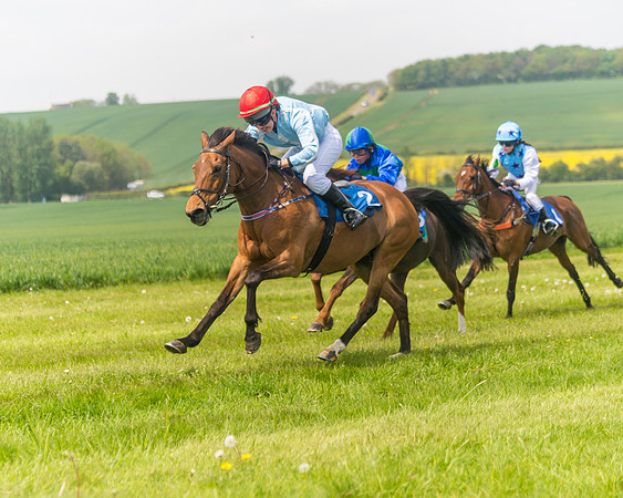 Pony Race 1 - 138cm (47 of 74)