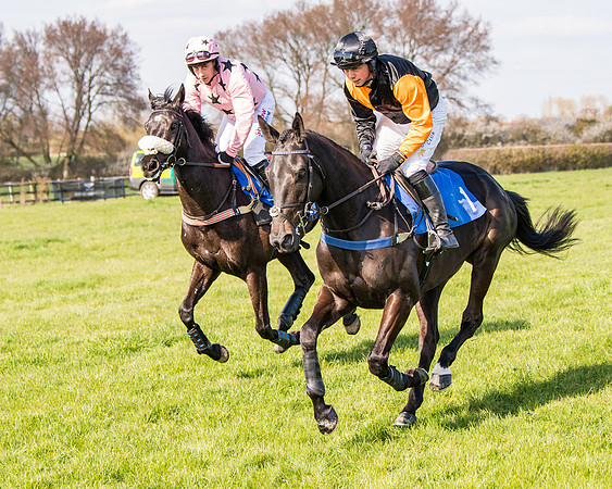 Race 5 - The Waverton Investment Management Ltd Restricted Race farmers and subscribers Race  (29 of 161)