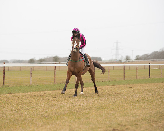 Race 6 - Open Maiden (69 of 120).jpg