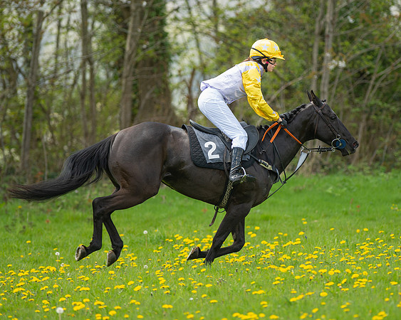 Ponies and Side saddle (51 of 69)