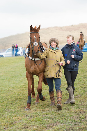 Race 1 - Div 2 - Young Horse Maiden (19 of 122).jpg