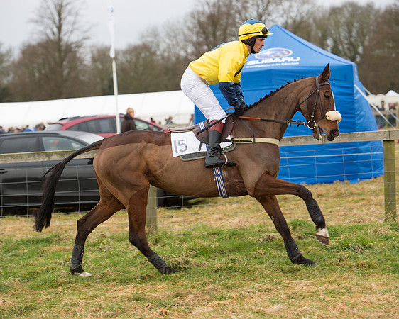 Race 6 - Open Maiden (45 of 100).jpg
