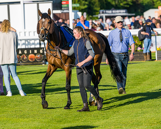 Race 4 - Foxhunters Championship (20 of 175)