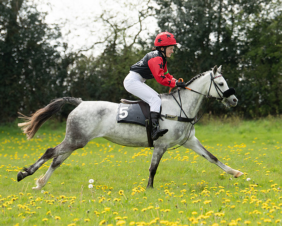 Ponies and Side saddle (24 of 69)