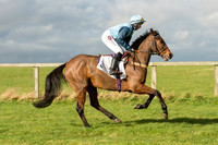 Race 2 - Young Horse Maiden (4 of 110).jpg