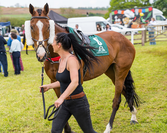 Race 7 - Veteran Horse conditions (38 of 244)